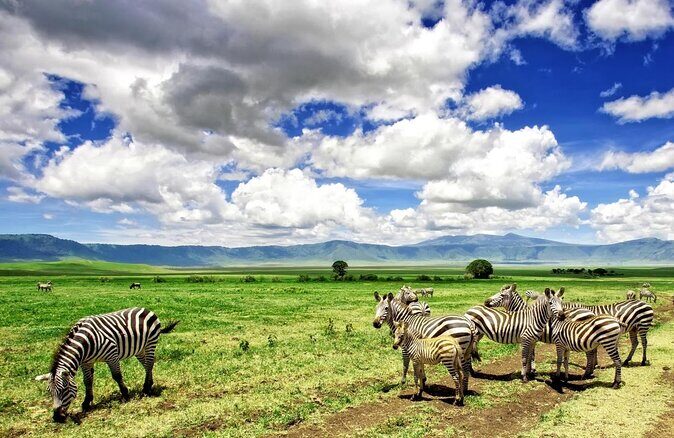 6 Days Machame Route Kilimanjaro Climbing - Key highlights worth caring about