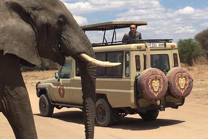 6 Days Private Budget Safari - Ngorongoro Crater: black rhino chances and lunch by Hippo Lake