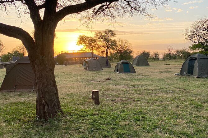 6 Days Private Budget Safari - Price and value: what $2,300 gets you in the real world