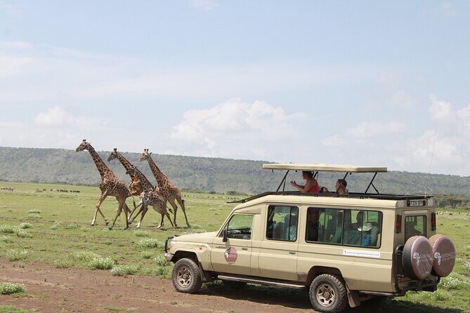 6 Days Serengeti Safari(hiking waterfalls &coffee tour) - Ngorongoro crater: dawn for black rhino odds and wide-open viewing
