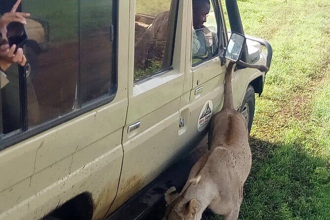 6 Days Tanzania Budget Camping Safari - Serengeti arrival via Rift Valley views and sunset driving