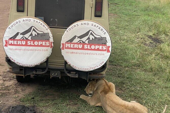 6 Days Tanzania Budget Camping Safari with Migration - Tarangire National Park: elephants, baobabs, and the first real game drive