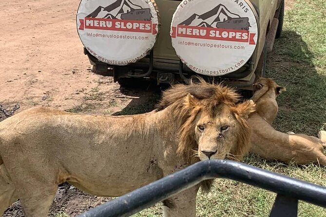 6 Days Tanzania Budget Camping Safari with Migration - Lake Manyara plus hot spring and Maasai boma: variety before the finish