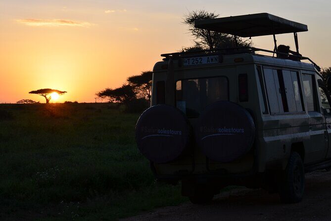 6 days Tanzania budget safari - Entering the Big Five quest from Arusha (without feeling squeezed)