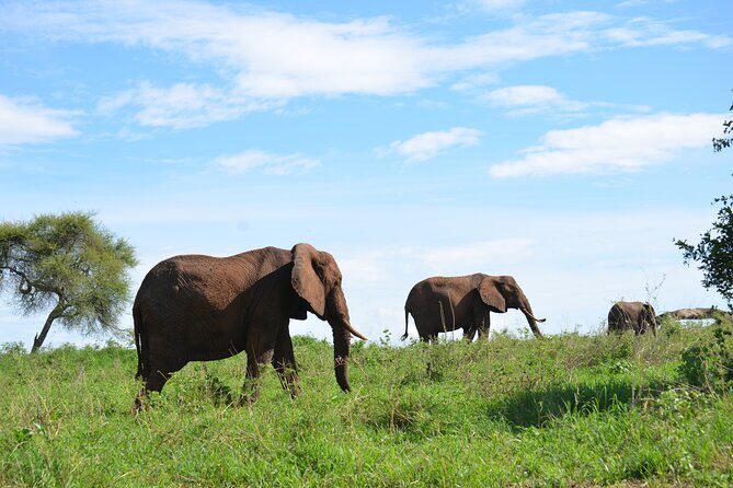 6 days Tanzania budget safari - Serengeti National Park from Seronera: sunset timing and long game-drive hours