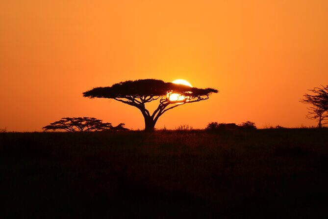 6 days Tanzania budget safari - Camping nights: what the included gear really changes