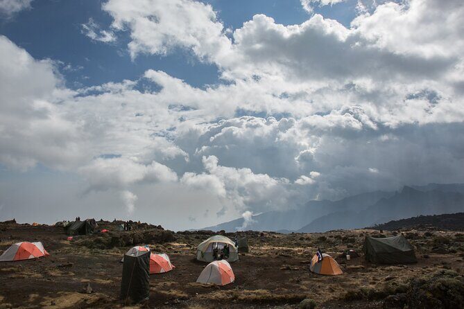 7-Day Machame Kilimanjaro Summit Tour from Arusha - Day 2: Shira Camp via Moorland and a Dry Gorge