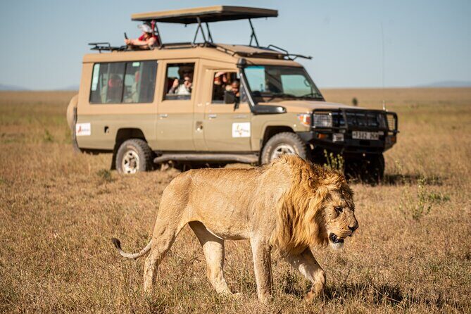 7-Day Premium Luxury Tanzania Safari All-Inclusive - Key Highlights Worth Wasting No Time On
