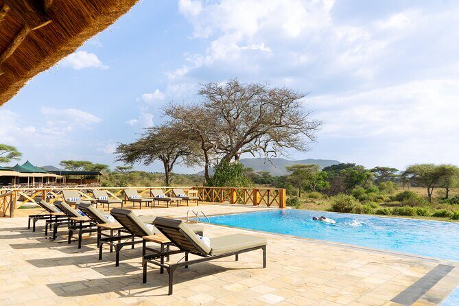 7-Day Premium Luxury Tanzania Safari All-Inclusive - Price and What You’re Really Paying For