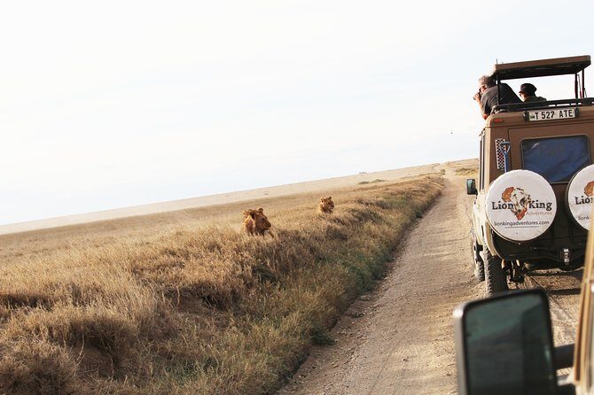 7-Day Premium Luxury Tanzania Safari All-Inclusive - Tarangire National Park: Elephants, Acacia Plains, and Open-Roof Drives