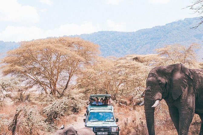 7 days great migration safari - Day 7 Lake Eyasi and Arusha: Hadzabe and Datoga village visits on soda-lake country