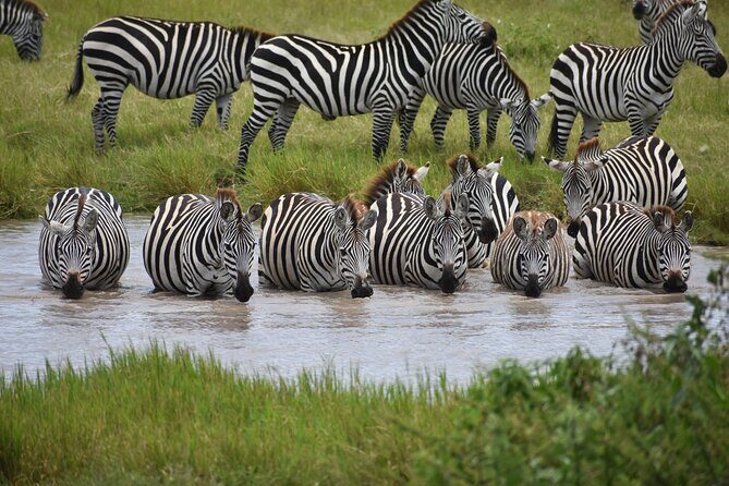 7 Days Highlight of Tanzania Mid-Range Standard - Tarangire National Park and Tortills Tented Camp: Elephants, Rivers, and a Night at the Edge