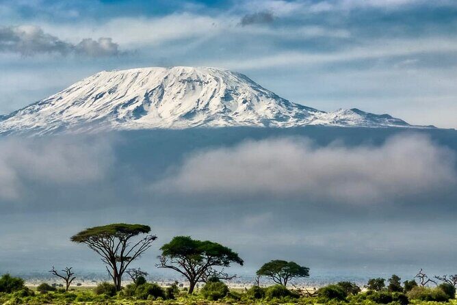 7 Days Kilimanjaro via Machame route affordable price - Moshi to Kilimanjaro National Park Gate: Day 1 Starts in the Rainforest
