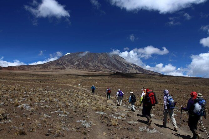 7 Days Kilimanjaro via Machame route affordable price - Guides and Crew: The Real Difference Is How They Run the Day