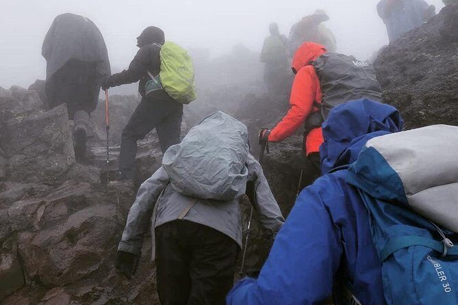 7 days Lemosho route Climbing Mt.Kilimanjaro - Moshi pre-game: private transfers and two nights to reset