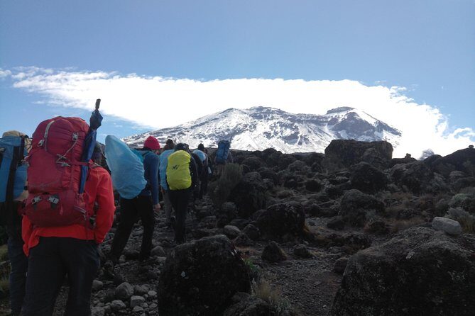 7 days Lemosho route Climbing Mt.Kilimanjaro - Day 7 descent to Mweka Gate and your summit certificates