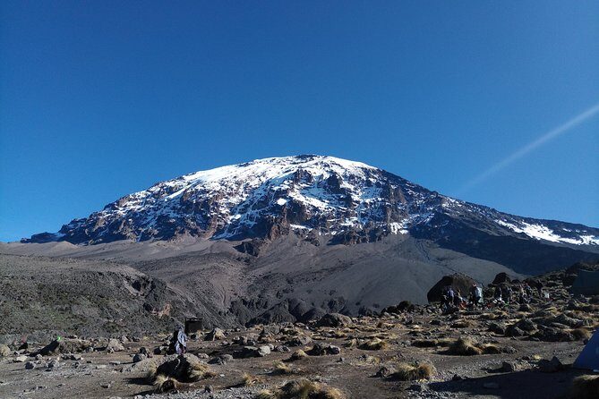 7 days Lemosho route Climbing Mt.Kilimanjaro - Day 2: Shira Ridge and the first big Kibo perspective