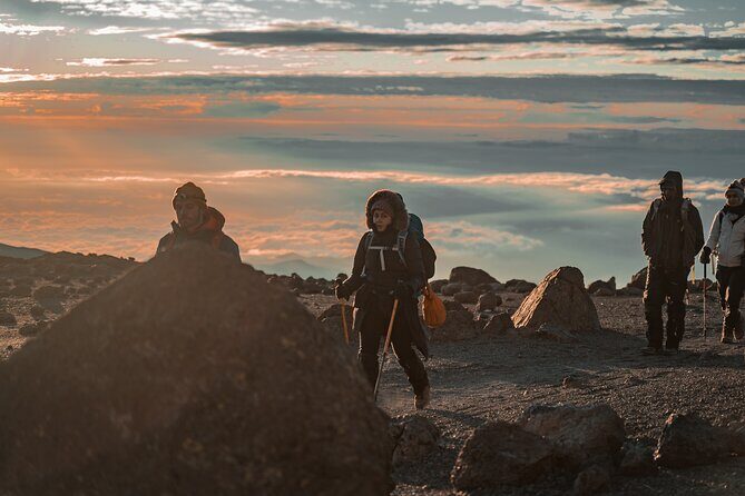 7 Days Machame route - Kilimanjaro - Local Guides, Real Safety Skills, and the English Support You Need
