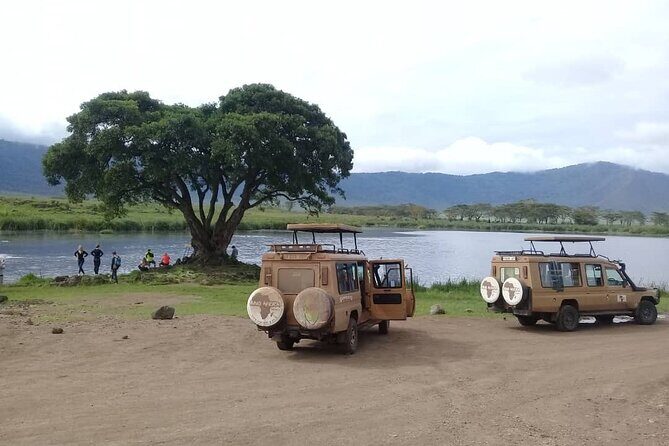 7 Days Tanzania Mid-range lodge safari - How This Private 4x4 Safari Circuit Works Day to Day