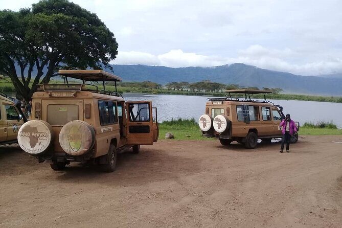 7 Days Tanzania Mid-range lodge safari - Day 3: Karatu Farms to Ngorongoro Rim Lodging and Afternoon Crater Drives
