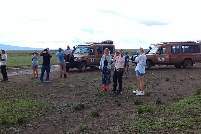 7 Days Tanzania Mid-range lodge safari - Wildlife Spotting: Why the Guide and Vehicle Change Your Chances