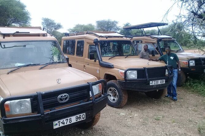 7 Days Tanzania Mid-range lodge safari - Route Map in Real Life: Arusha to Manyara, Ngorongoro, Serengeti, and Olduvai