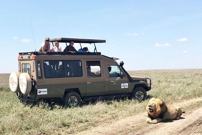 8 Day Spectacular Migration Serengeti mid -Range Tanzania Safari - Tarangire National Park: Elephants by the River and Predators on the Move