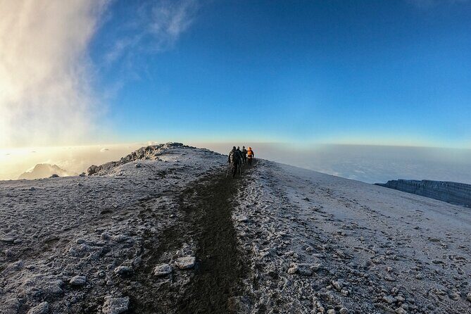 8 Days Climbing Mt.Kilimanjaro (Lemosho Route) - Day 1: Forest Trails to Mti Mkubwa Camp (Getting Your Bearings)