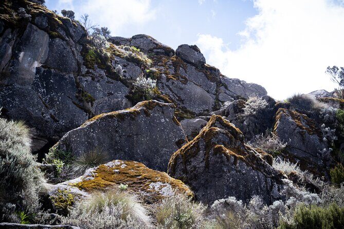 8 Days Climbing Mt.Kilimanjaro (Lemosho Route) - Day 4: Shira 2 to Barranco Camp (The Lava Tower Route and the Shark’s Tooth)