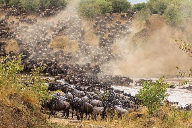 8 Days Great Wildebeest Migration - Mara River Crossing - Day 2 at Lake Manyara: elephants, monkeys, flamingos, and a village walk