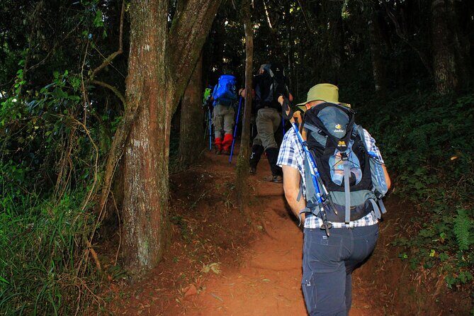 8 Days Mountain Kilimanjaro Lemosho Route - Day 1 to Mti Mkubwa: Your Kilimanjaro Begins with Rainforest and Wildlife