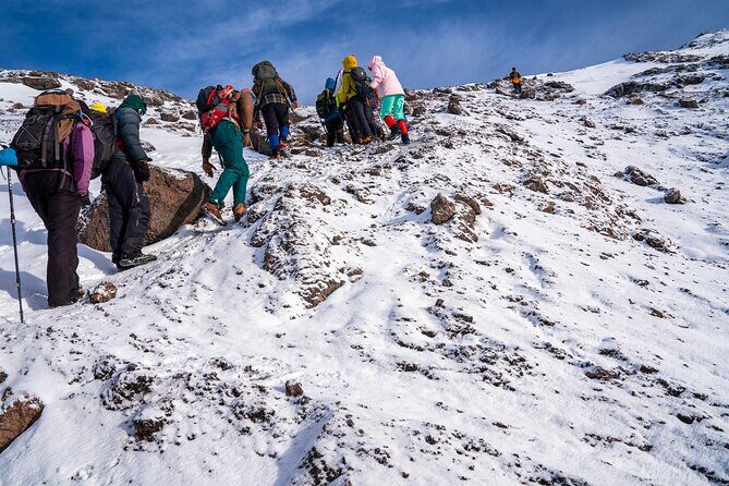 8 Days Mountain Kilimanjaro Lemosho Route - Mweka Gate to Moshi: The Descent, Certificates, and Mud Reality