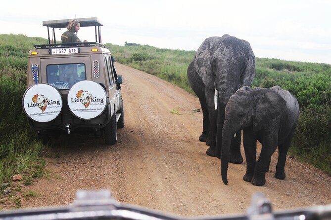 9-Day Serengeti Migration Footsteps Tanzania Safari - Northern Serengeti for the migration: fewer crowds, better odds, real Mara drama