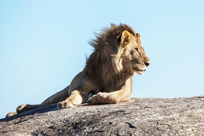 9-Day Serengeti Migration Footsteps Tanzania Safari - Ngorongoro Crater night and day: wildlife inside the caldera
