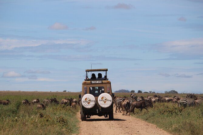 9-Day Serengeti Migration Footsteps Tanzania Safari - Price and value: what $4,539 is buying you (and what it isn’t)