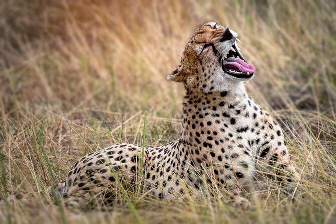 9-Day Serengeti Migration Footsteps Tanzania Safari - Transition day toward Serengeti: Ngorongoro Conservation Area gives you the wow-view