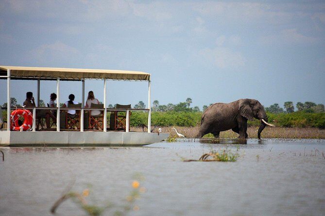 A Day Trip To Selous Fly From Zanzibar - Charter from Zanzibar: why this safari fits in one day