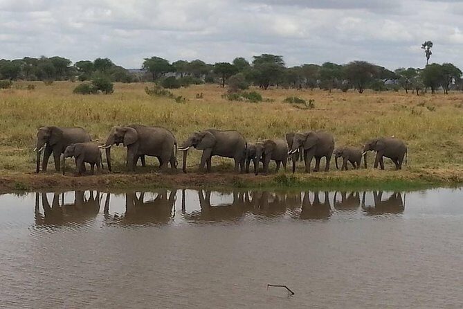 A Day Trip To Selous Fly From Zanzibar - What to pack and how to prepare for a fly-in safari day
