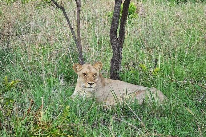 A Day Trip To Selous Fly From Zanzibar - Who this Selous day trip is best for