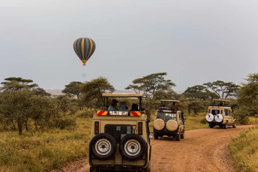 Arusha: 3-Day Serengeti & Ngorongoro Crater Big Five Safari - Arusha to Serengeti: the day you start seeing the real size of Africa