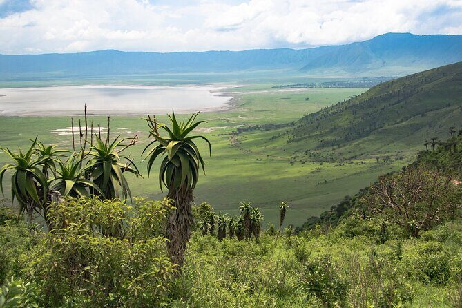 Arusha: 5 days Safari Trip Tarangire, Lake Manyara and Ngorongoro - Key things to know before you go