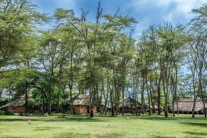 Arusha: 5 days Safari Trip Tarangire, Lake Manyara and Ngorongoro - The Northern Circuit route: why this combo works