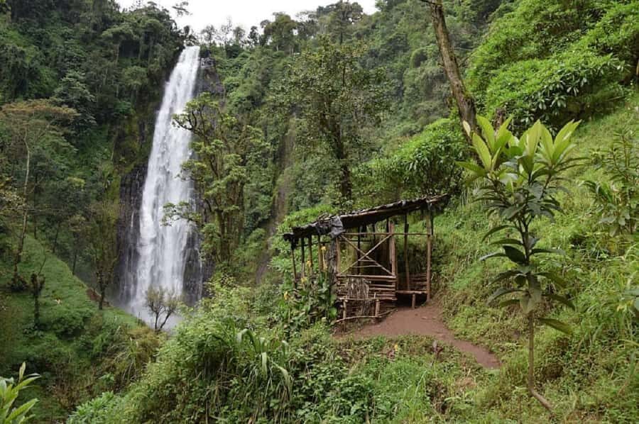 Arusha: Materuni Waterfalls, Coffee, and Hotsprings Tour - Key Points You Should Know Before You Go