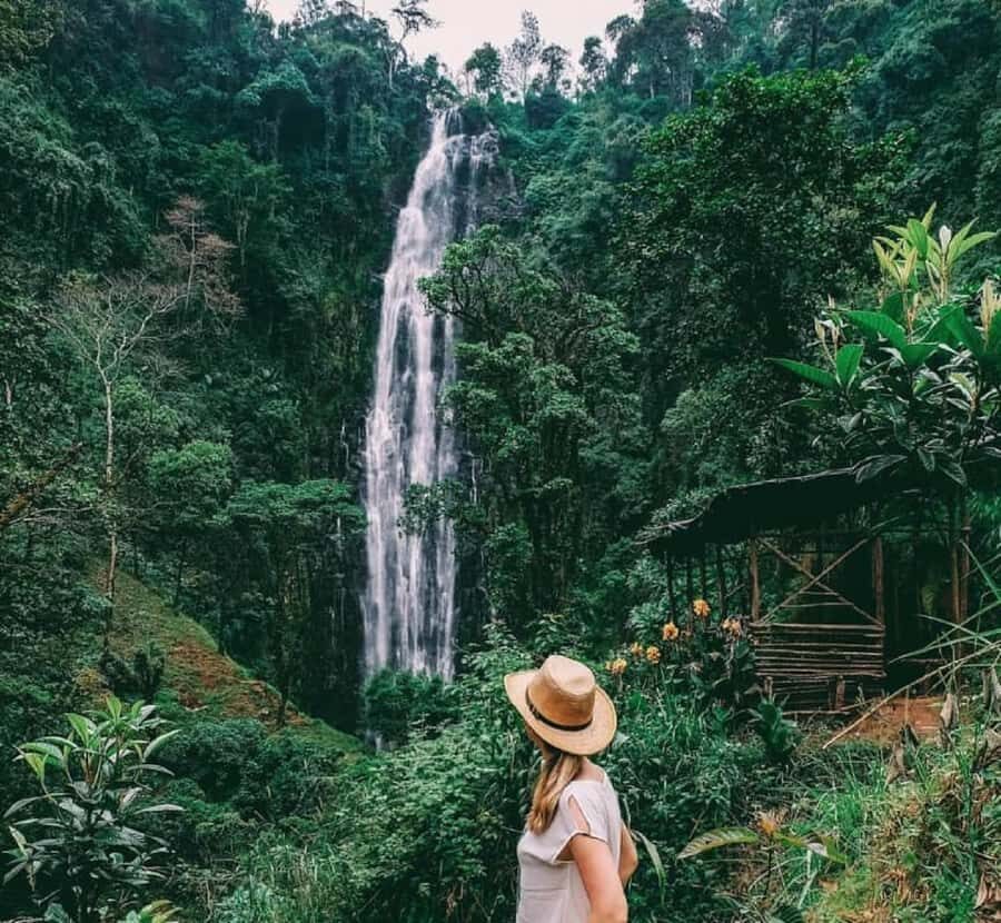 Arusha: Materuni Waterfalls, Coffee, and Hotsprings Tour - The Coffee Farm Workshop: From Growing to Roasting Your Own Cup