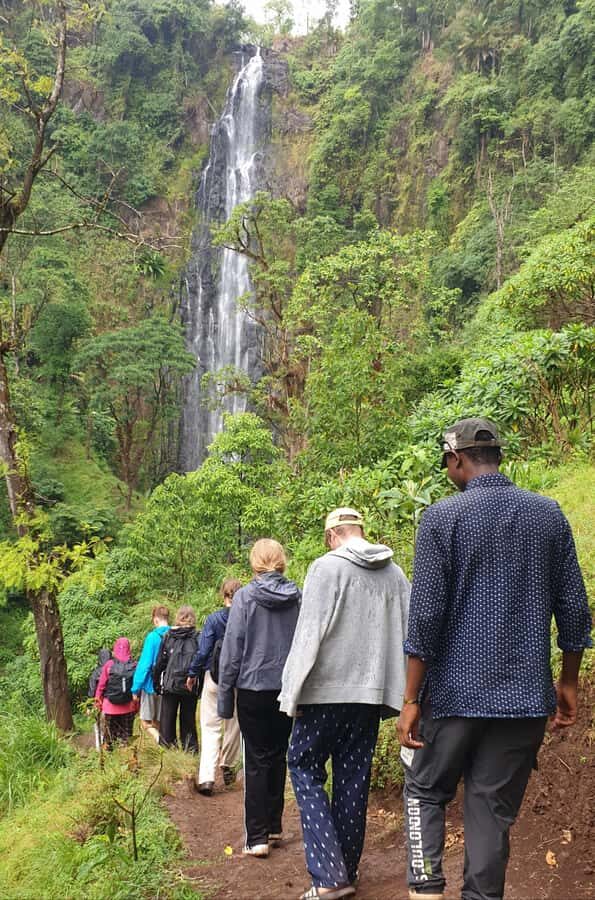 Arusha: Materuni Waterfalls, Hot Springs and/or Coffee Tour - A one-day Kilimanjaro-area plan that balances effort and reward