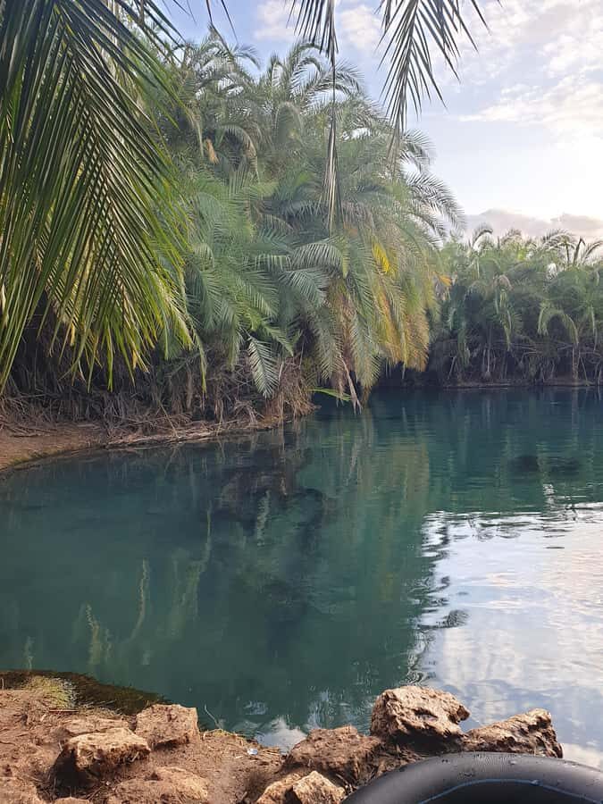 Arusha: Materuni Waterfalls, Hot Springs and/or Coffee Tour - Chemka (Kikuletwa) hot springs: warm pools, swimming time, and sunset mood