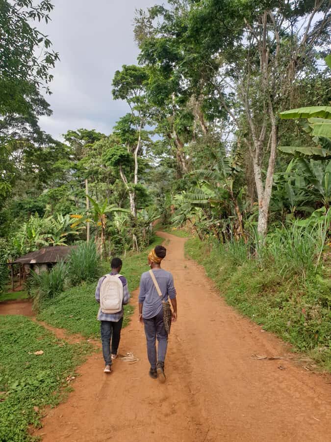 Arusha: Materuni Waterfalls, Hot Springs and/or Coffee Tour - Price and value: what $53 buys you in a full day