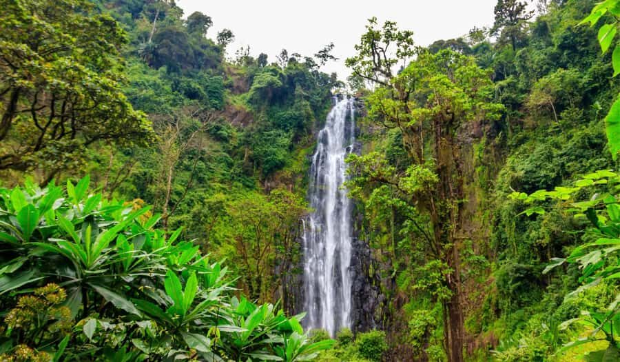 Arusha: Materuni Waterfalls, Hot Springs and/or Coffee Tour - Who this tour suits best (and who should think twice)