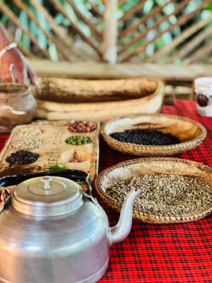 Arusha: Materuni Waterfalls, Hot Springs and/or Coffee Tour - Should you book this Materuni + Chemka day trip?