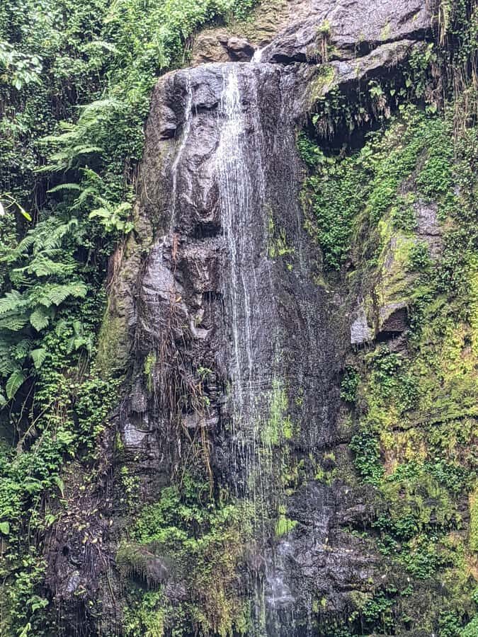 Arusha: Napuru Waterfalls Guided Hike - Into Mount Meru Forest Reserve: cooler air and a real quiet shift